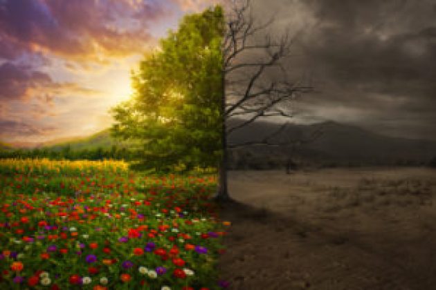 Spiritual Transition